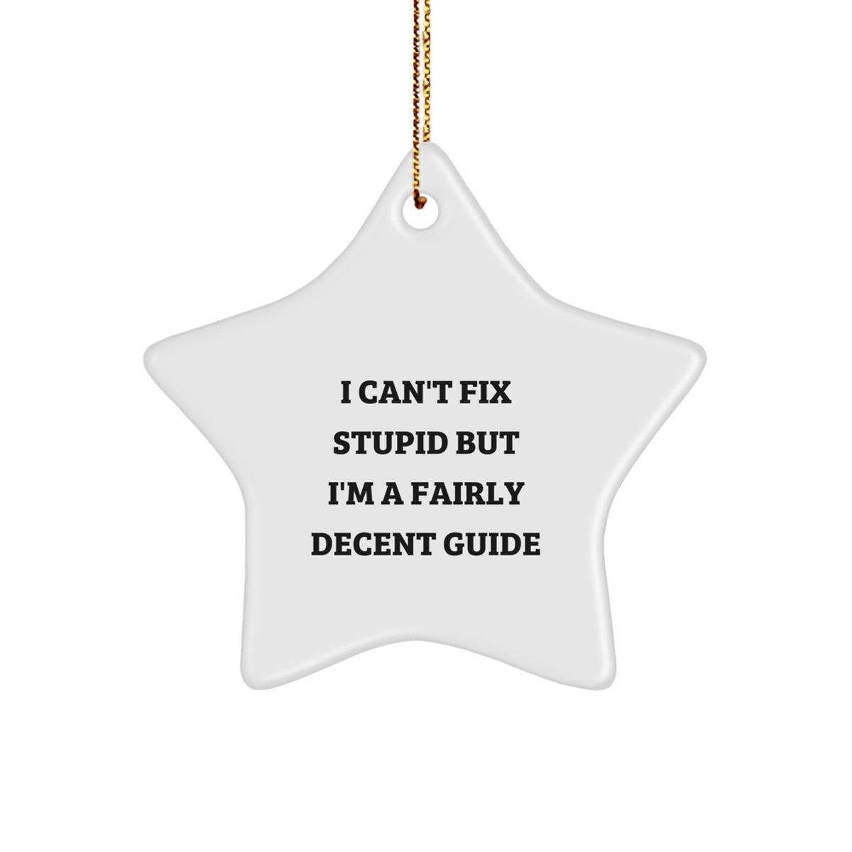 Funny Guide Gifts from Friends, Unique Star Ornament for Guide Enthusiasts, Christmas Unique Gifts, Gifts for Guide, A Fairly Decent Pick - Image 1