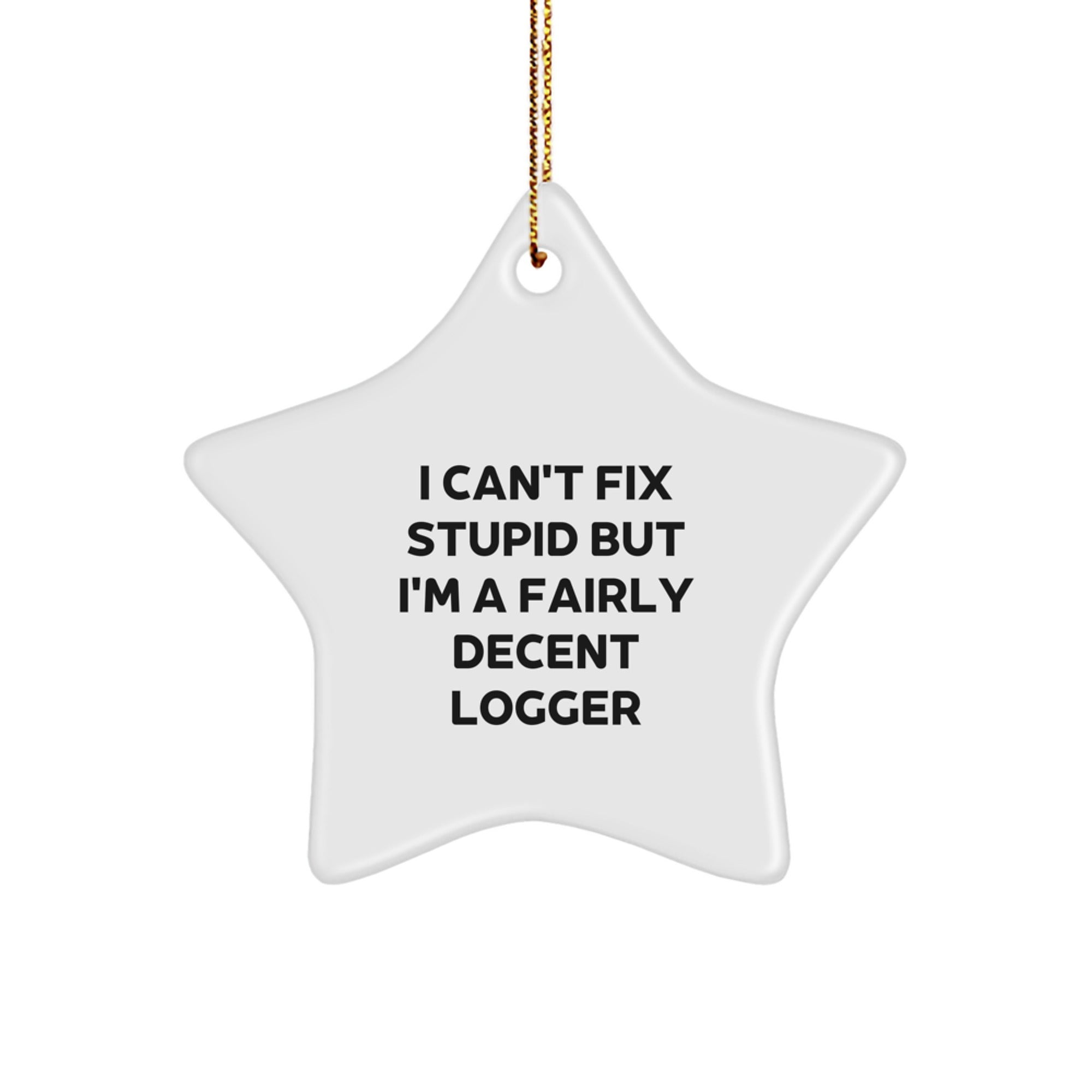 Funny Logger Gifts for Men from I Can't Fix Stupid But I'm A Fairly Decent Logger, Star Ornament for Christmas - Image 1