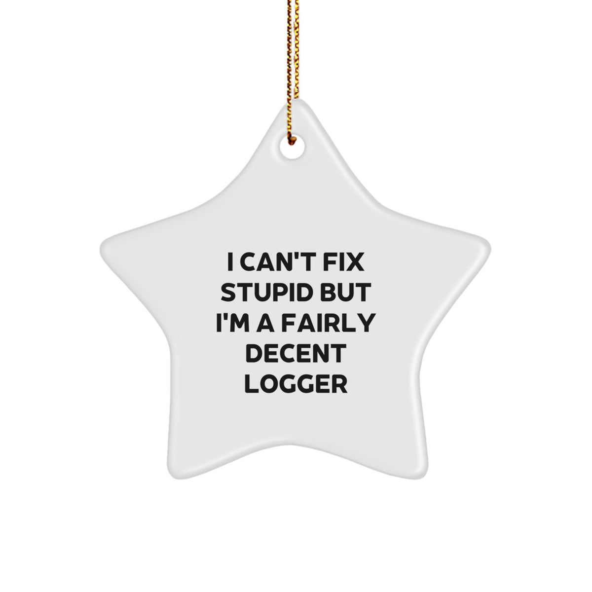 Funny Logger Gifts for Men from I Can't Fix Stupid But I'm A Fairly Decent Logger, Star Ornament for Christmas - Image 1