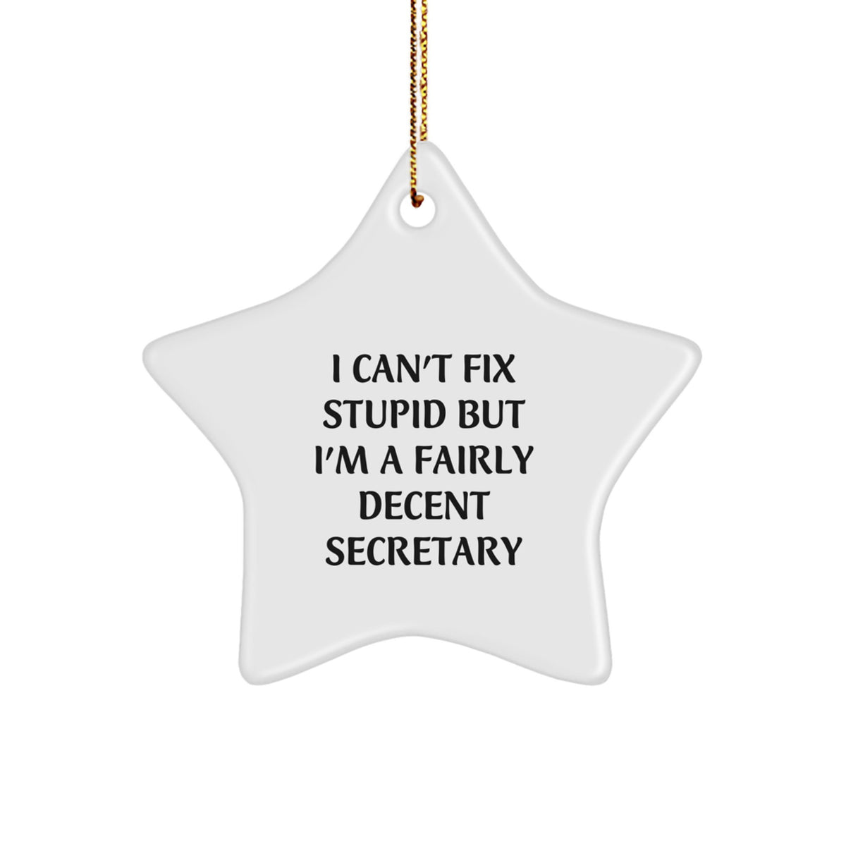 Funny Secretary Gifts from Friends - I Can't Fix Stupid But I'm A Fairly Decent Secretary Star Ornament for Christmas - Image 1