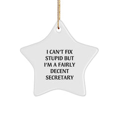 Funny Secretary Gifts from Friends - I Can't Fix Stupid But I'm A Fairly Decent Secretary Star Ornament for Christmas - Image 1