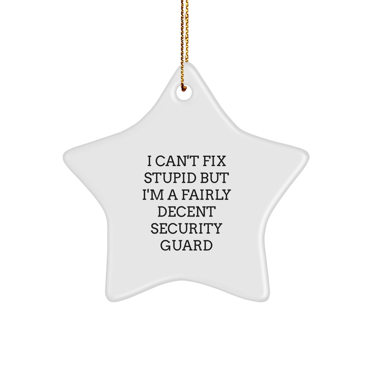 Funny Security Guard Gifts from Friends for Security Guard Star Ornament I Can't Fix Stupid - Image 1