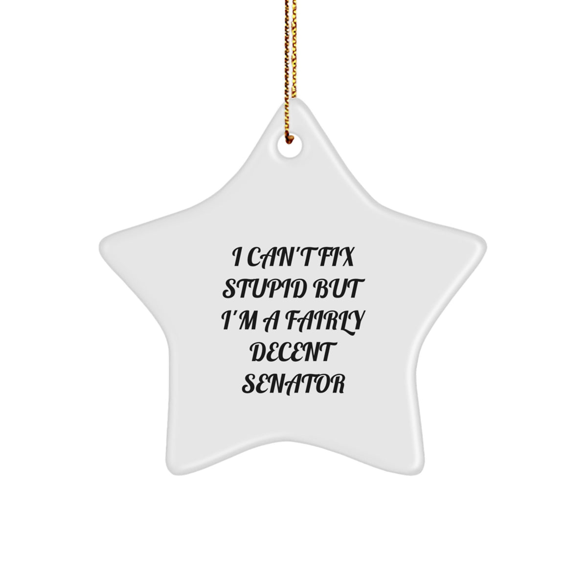 Funny Senator Gift, I'm A Fairly Decent Senator Star Ornament for Christmas Unique Gifts from Friends to Senator Men - Image 1