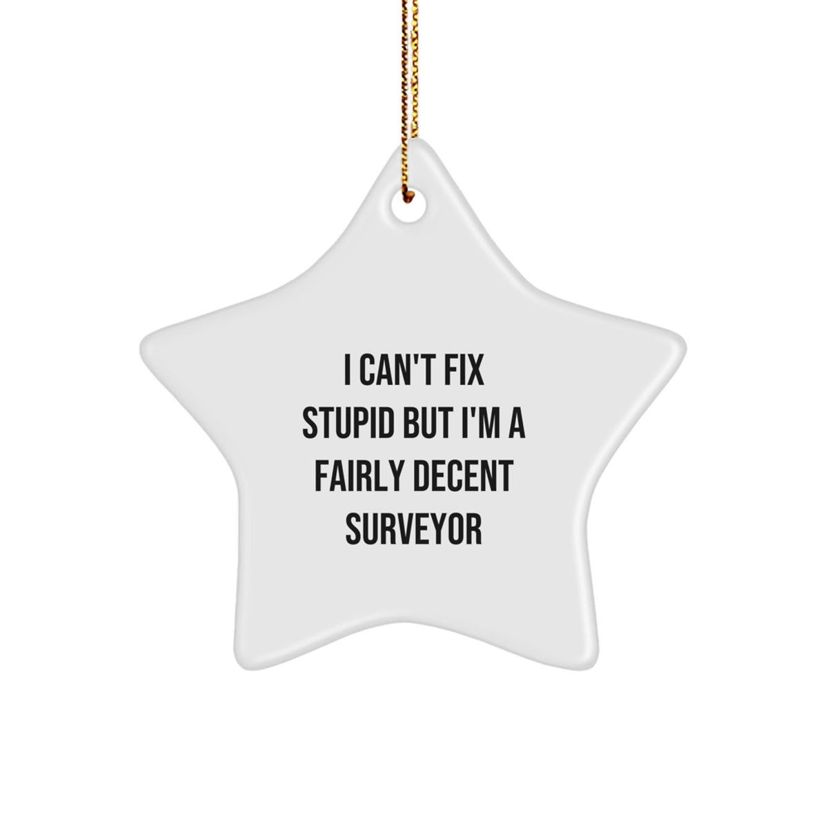 Funny Surveyor Star Ornament Gift from Friends for Surveyor - I Can't Fix Stupid But I'm A Fairly Decent Surveyor - Image 1