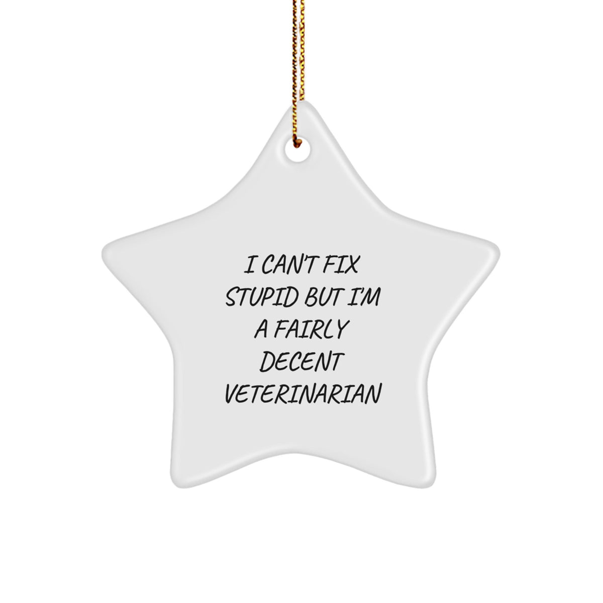 Funny Veterinarian Gifts, Star Ornament, 'I Can't Fix Stupid But I'm A Fairly Decent Veterinarian', Christmas Unique Gifts from Men for Veterinarian, Veterinarian Office Decor - Image 1