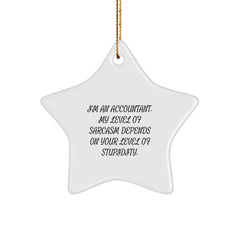 Funny Accountant Gifts, 'I'm An Accountant. My Level Of Sarcasm Depends On Your Level Of Stupidity.' Star Ornament for Christmas, Gifts from Friends to Accountants - Image 1