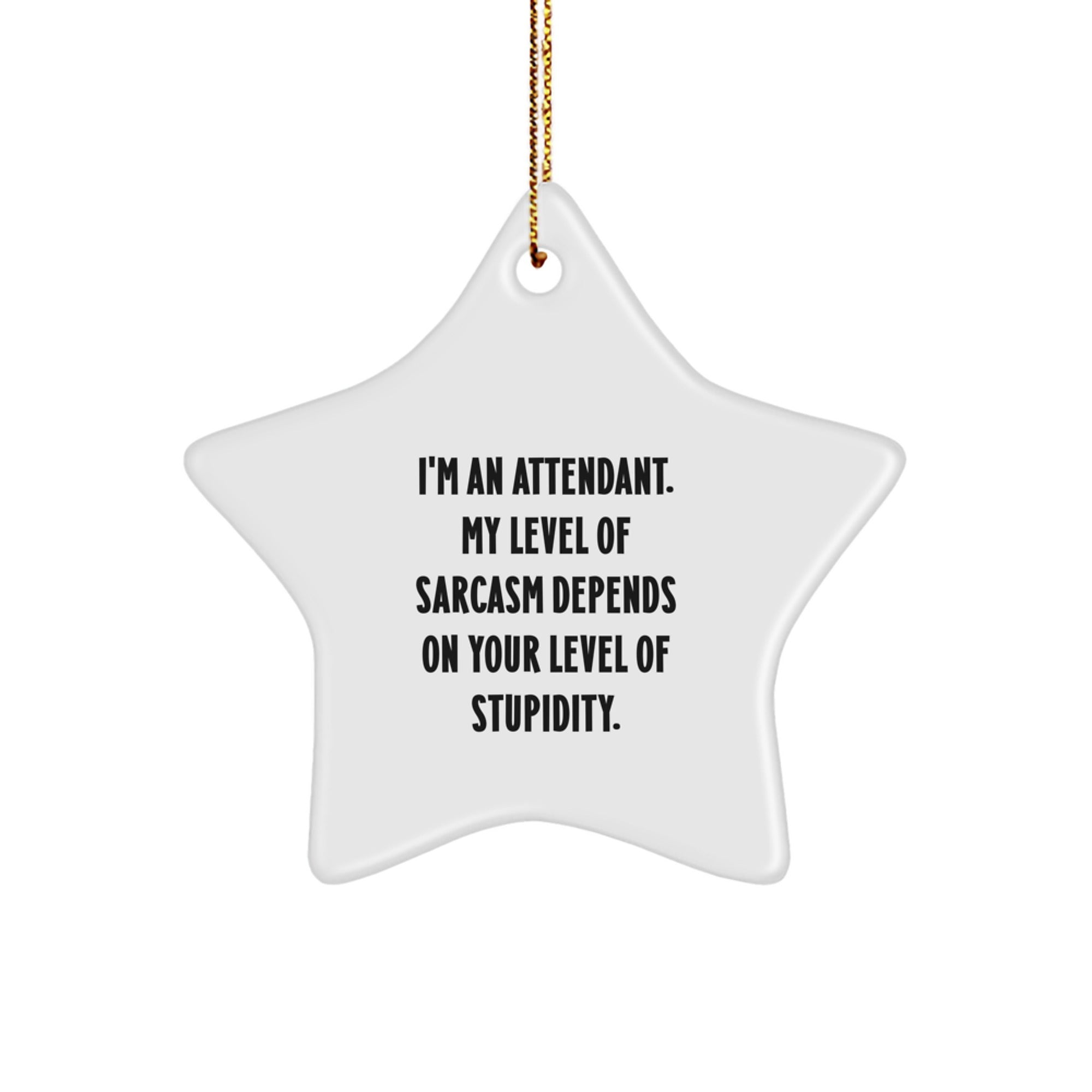 Funny Attendant Gifts, I'm An Attendant. My Level Of Sarcasm Depends On Your Level Of Stupidity., Christmas Star Ornament, Gifts from Friends to Attendants, Perfect for Home Decor - Image 1