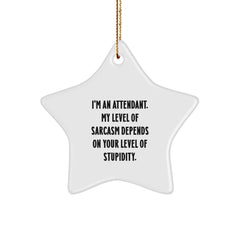 Funny Attendant Gifts, I'm An Attendant. My Level Of Sarcasm Depends On Your Level Of Stupidity., Christmas Star Ornament, Gifts from Friends to Attendants, Perfect for Home Decor - Image 1