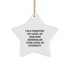 Forester's Sassy Star Ornament, Funny Christmas Unique Gift for Men from Friends, Funny Gifts for Forester, Star Ornament Gifts from Family, Forester Gifts for Christmas - Image 1