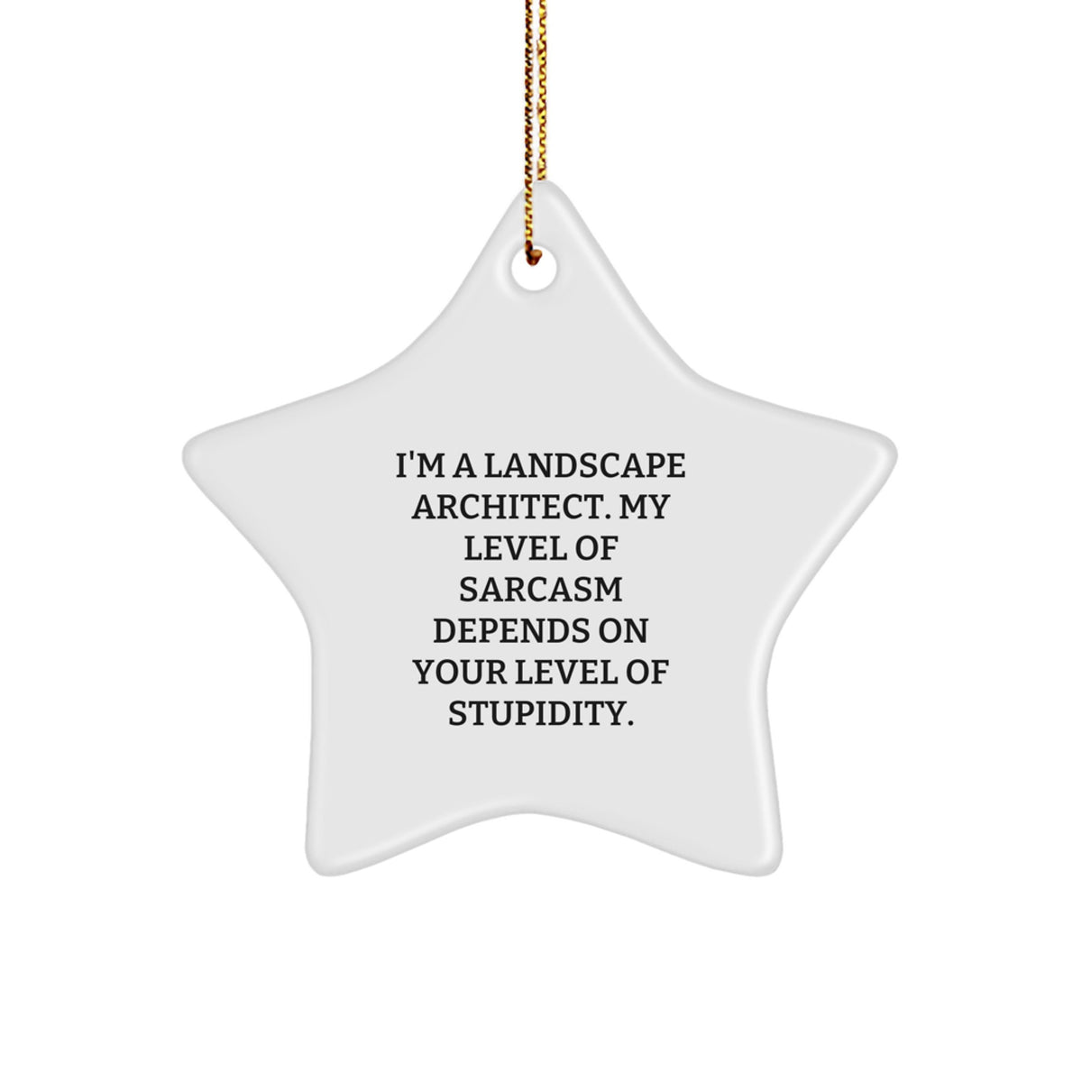 Landscape Architect Gifts, Funny Star Ornament, 'I'm A Landscape Architect...' Gifts from Friends to Coworkers, Perfect for Christmas - Image 1