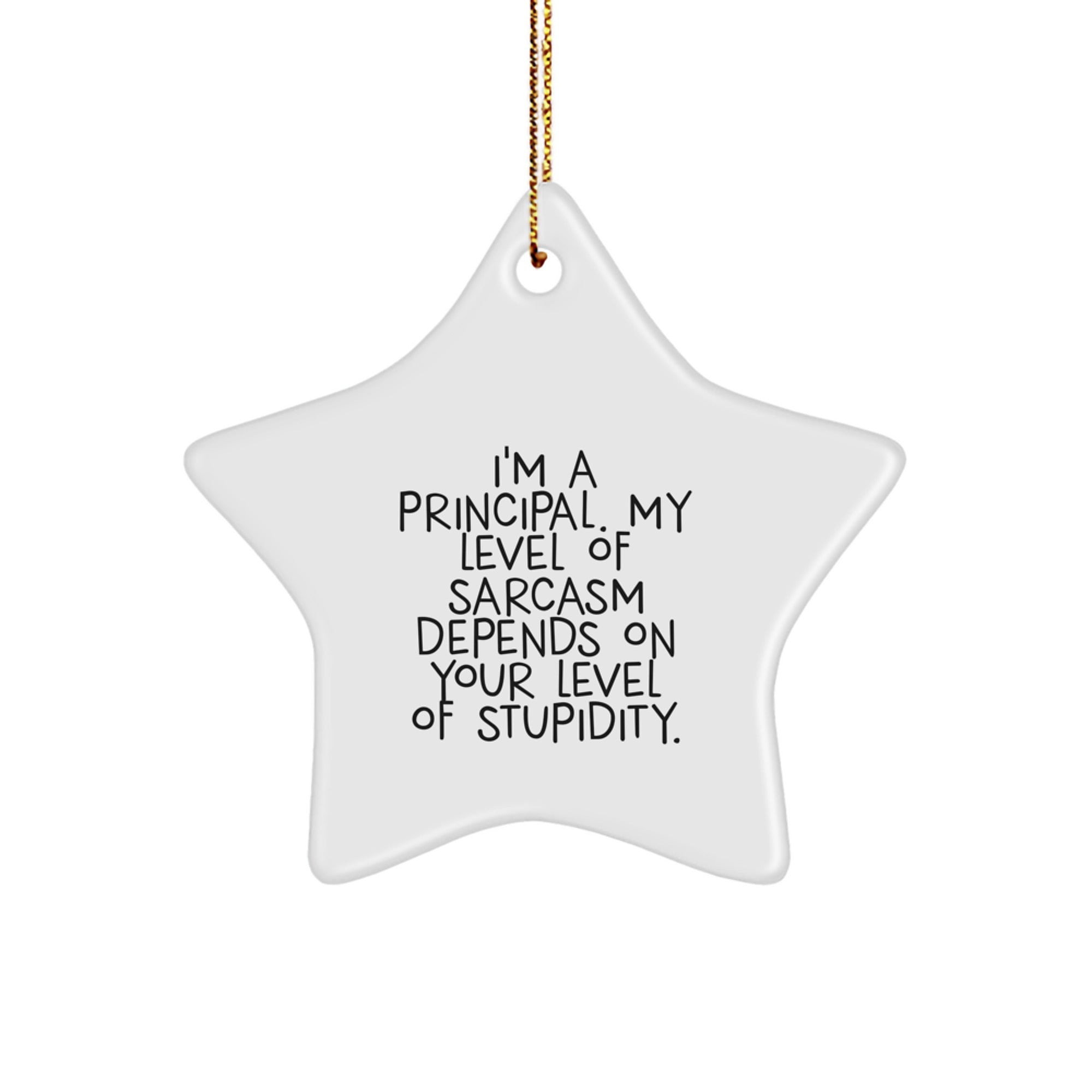 Funny Principal Gifts, I'm A Principal, My Level Of Sarcasm Depends On Your Level Of Stupidity. Star Ornament for Christmas Unique Gifts from Friends to Principal - Image 1