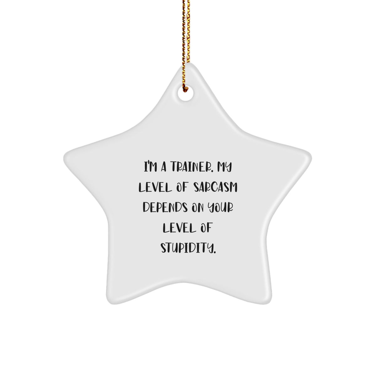 Funny Trainer Gifts, 'I'm A Trainer. My Level Of Sarcasm Depends On Your Level Of Stupidity.' Star Ornament for Men, Women, Family, or Coworkers, Christmas Unique Presents - Image 1