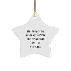 Funny Trainer Gifts, 'I'm A Trainer. My Level Of Sarcasm Depends On Your Level Of Stupidity.' Star Ornament for Men, Women, Family, or Coworkers, Christmas Unique Presents - Image 1