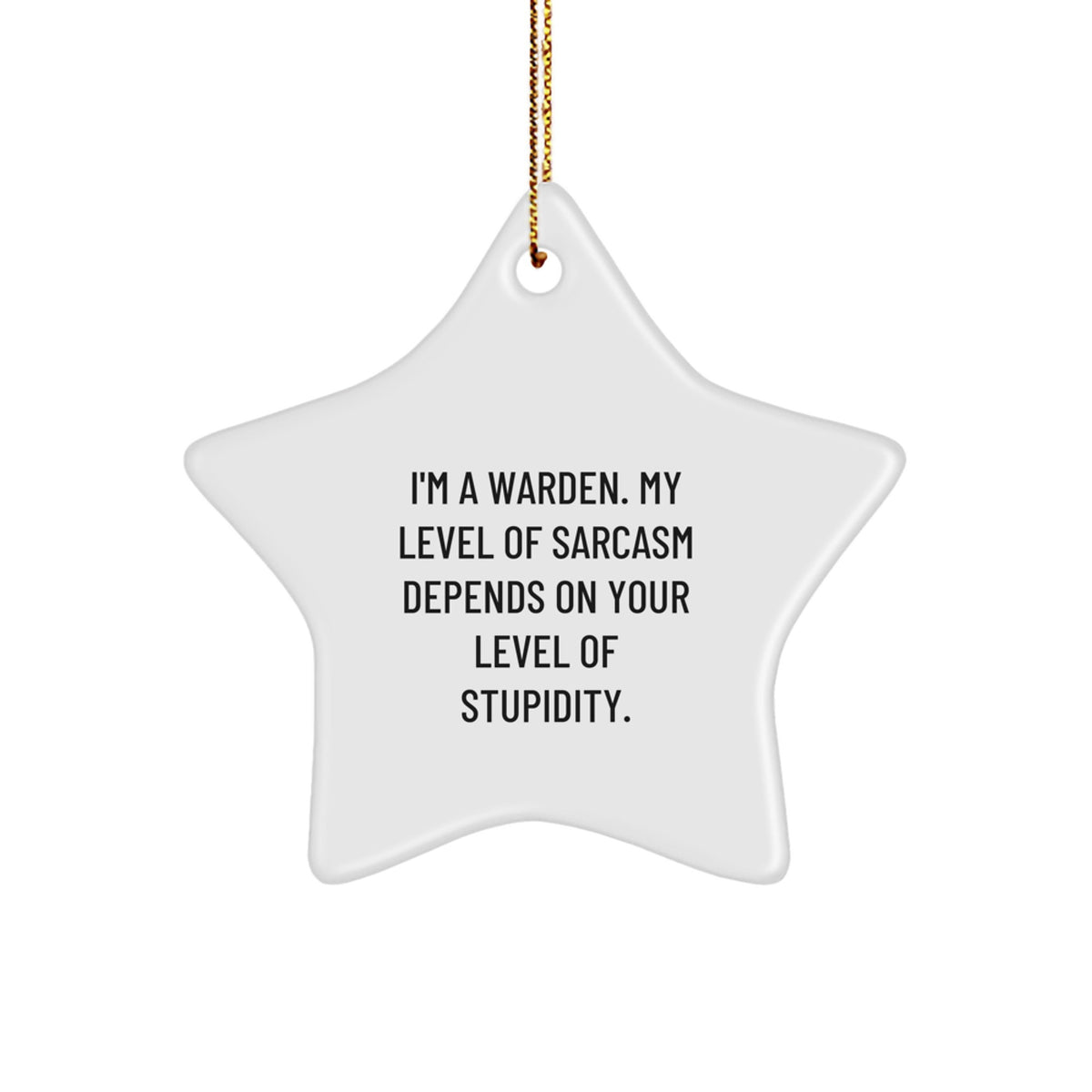 Warden Gifts Funny Star Ornament Christmas Warden Level Of Sarcasm Depends On Your Level Of Stupidity Gifts from Friends to Family - Image 1