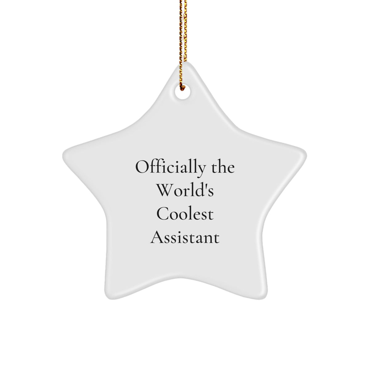 Funny Assistant Star Ornament Gifts from Friends for Christmas - 'Officially The World's Coolest Assistant' Quote - Image 1