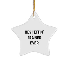 Funny Trainer Gifts, Star Ornament, Best Effin' Trainer Ever, Gifts from Men to Friends for Christmas - Image 1
