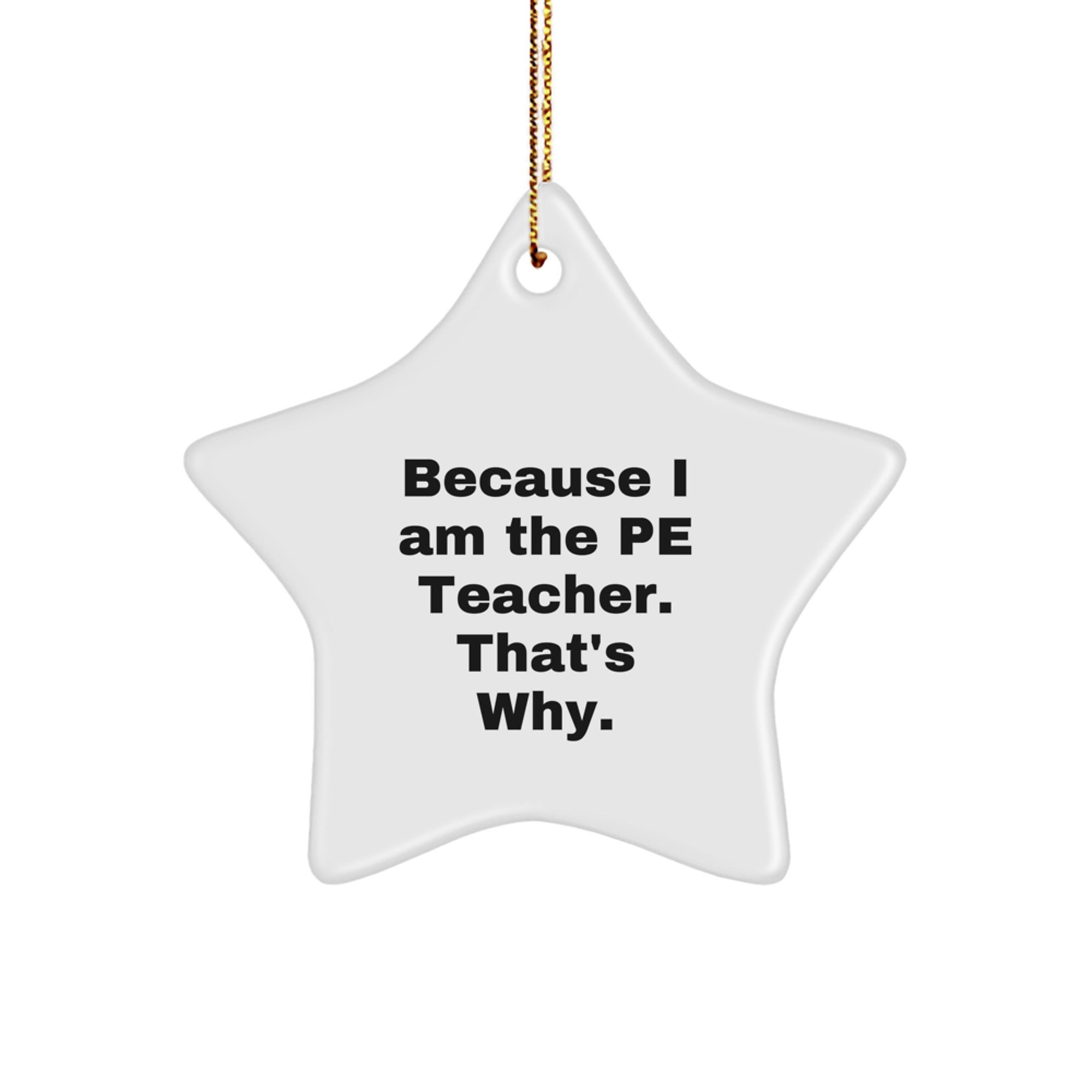 Funny PE Teacher Gifts from Friends - Because I Am The PE Teacher. That's Why. Christmas Star Ornament for PE Teacher, Gifts for PE Teacher, Unique Christmas Unique Gifts - Image 1