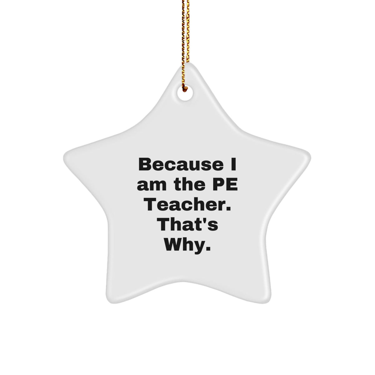 Funny PE Teacher Gifts from Friends - Because I Am The PE Teacher. That's Why. Christmas Star Ornament for PE Teacher, Gifts for PE Teacher, Unique Christmas Unique Gifts - Image 1
