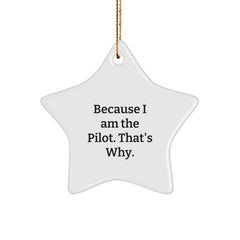 Pilot Gifts from Men to Friends Because I Am The Pilot That's Why Christmas Star Ornament - Image 1