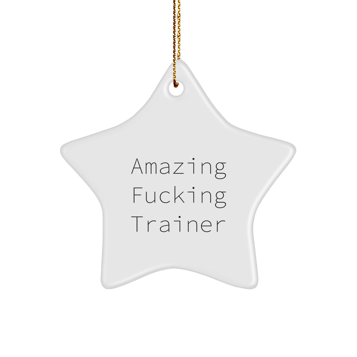 Funny Trainer Gifts from Friends - Amazing Star Ornament for Christmas - Inspirational Quote - Image 1