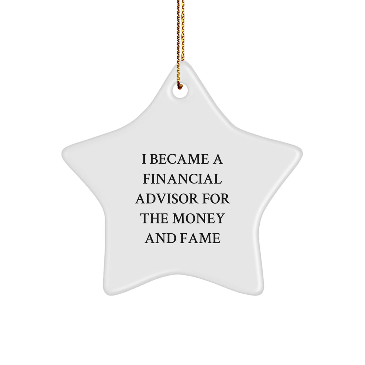 Gifts from Friends for Financial Advisor - Star Ornament with Funny Quote - Christmas Unique Gifts - Image 1