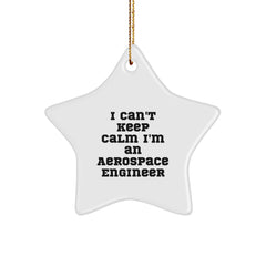 Funny Aerospace Engineer Gifts from Friends for Men I Can't Keep Calm I'm An Aerospace Engineer Christmas Unique Ornaments - Image 1