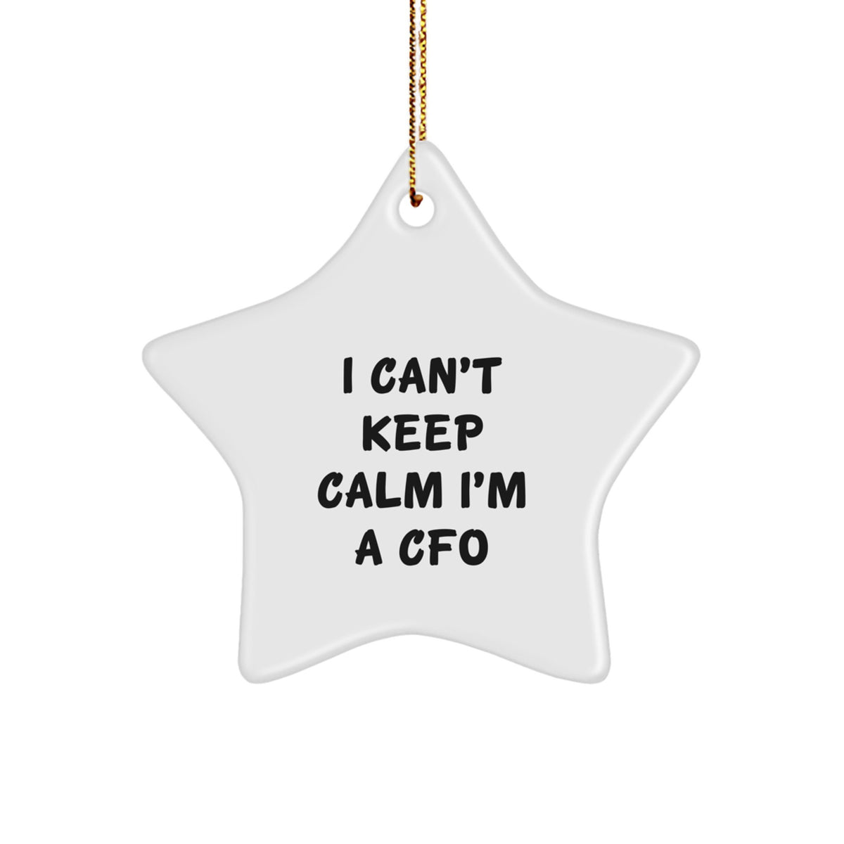 Funny CFO Gifts for Men CFO Christmas Star Ornament Inspirational Quote, Gifts from Friends, Family, Coworkers, or Women, for CFO, Men, Women, Friends, Family, or Coworkers - Image 1