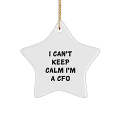 Funny CFO Gifts for Men CFO Christmas Star Ornament Inspirational Quote, Gifts from Friends, Family, Coworkers, or Women, for CFO, Men, Women, Friends, Family, or Coworkers - Image 1