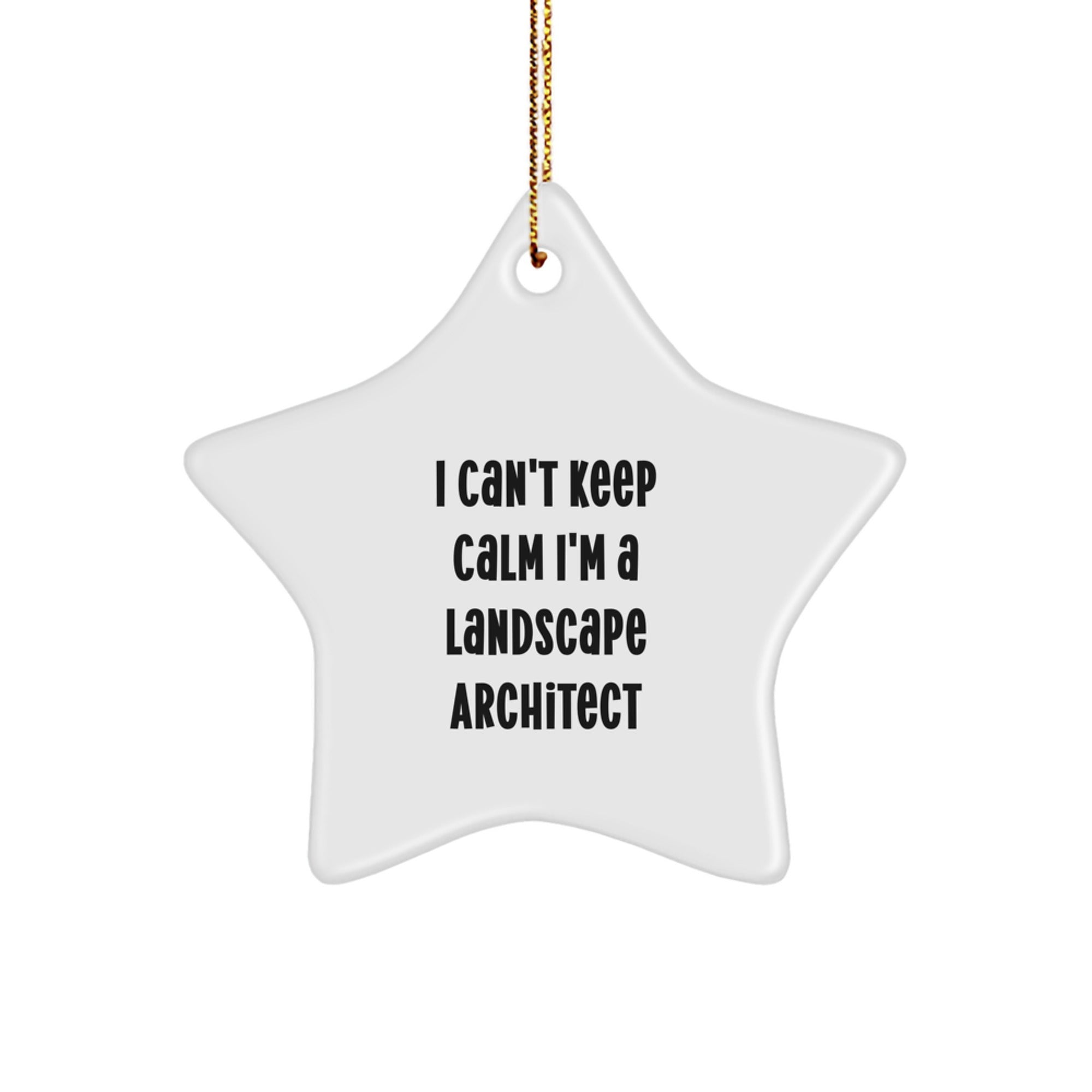 Funny Landscape Architect Star Ornament Gifts, Gifts for Landscape Architects, I Can't Keep Calm I'm A Landscape Architect Christmas Unique Gifts - Image 1