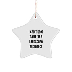 Funny Landscape Architect Star Ornament Gifts, Gifts for Landscape Architects, I Can't Keep Calm I'm A Landscape Architect Christmas Unique Gifts - Image 1