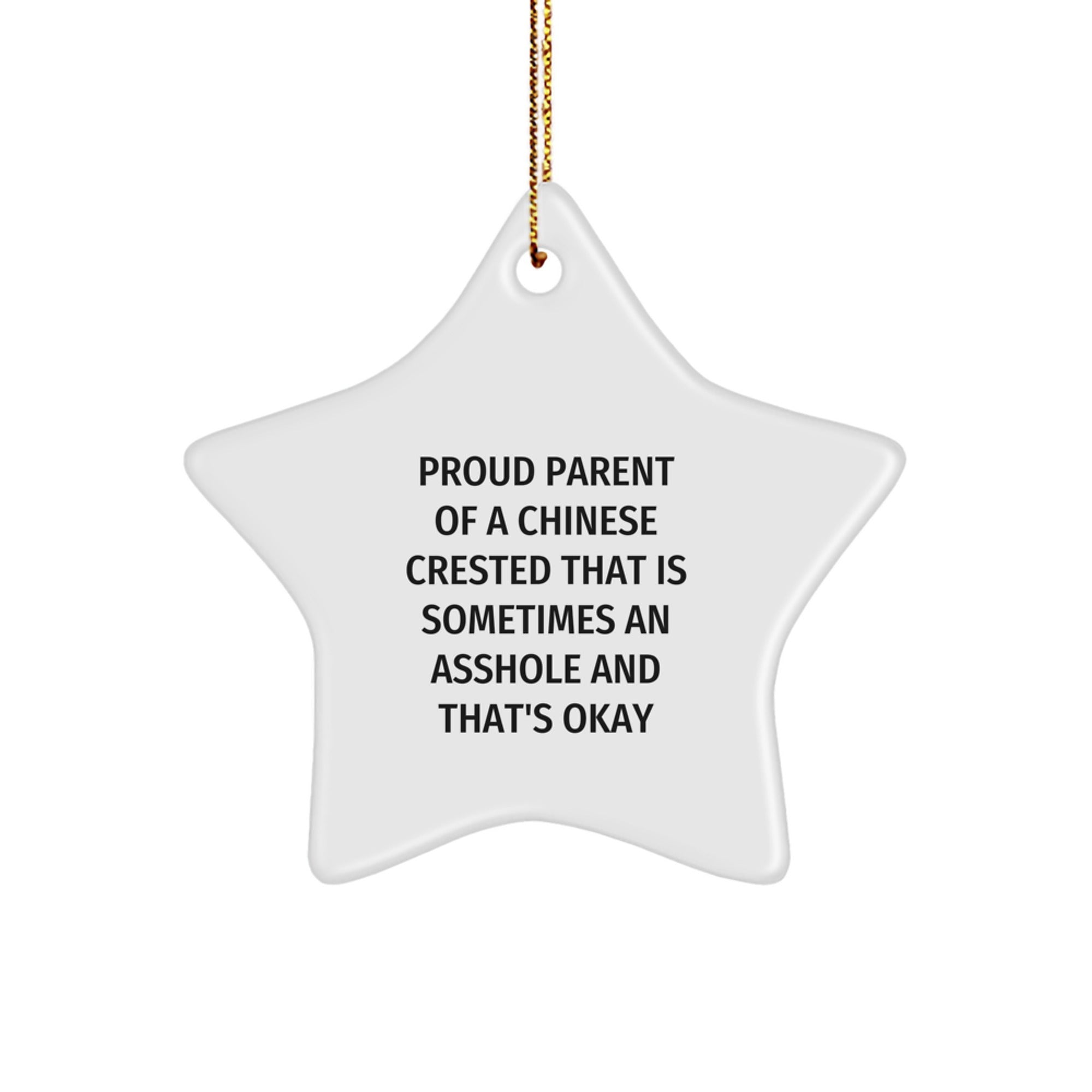 Funny Chinese Crested Dog Lover Christmas Unique Gifts from Friends for Chinese Crested Dog Owners - Star Ornament with Gold Cord - Image 1