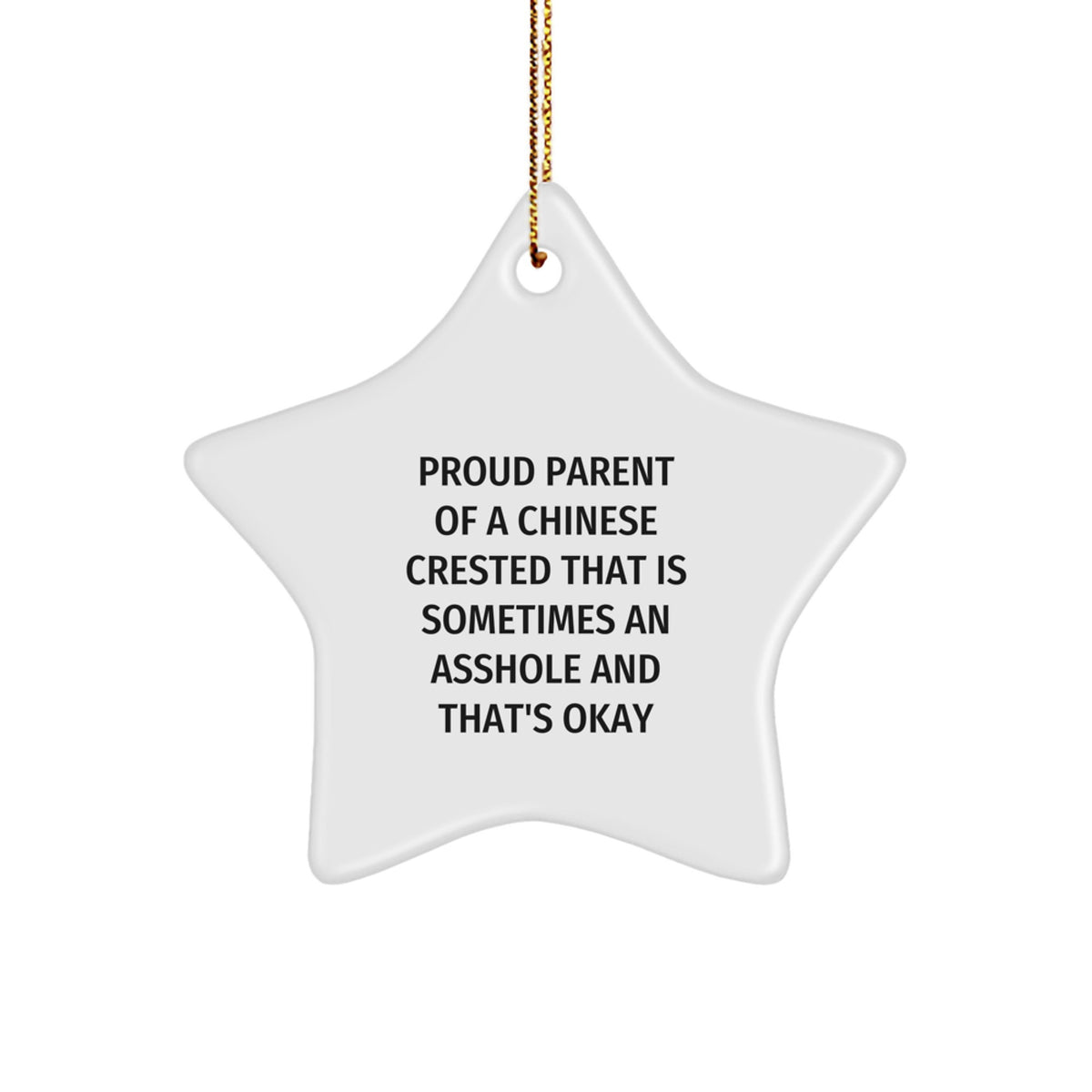 Funny Chinese Crested Dog Lover Christmas Unique Gifts from Friends for Chinese Crested Dog Owners - Star Ornament with Gold Cord - Image 1