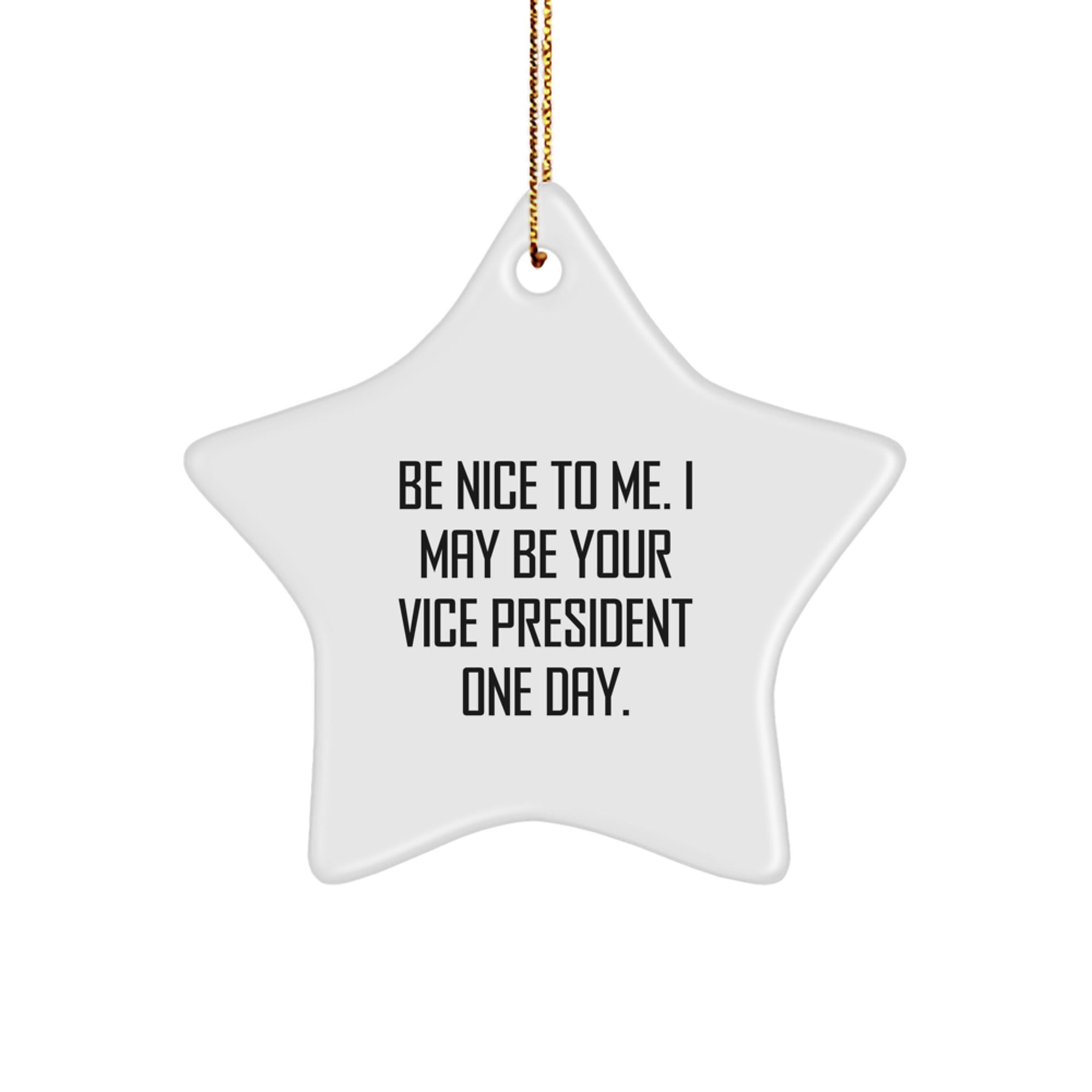 Funny Vice President Star Ornament Gifts from Coworkers to Men, Unique Christmas Unique Gifts for Vice President, Inspirational Star Shaped Decorations - Image 1