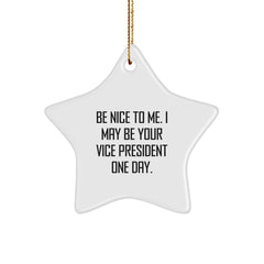 Funny Vice President Star Ornament Gifts from Coworkers to Men, Unique Christmas Unique Gifts for Vice President, Inspirational Star Shaped Decorations - Image 1