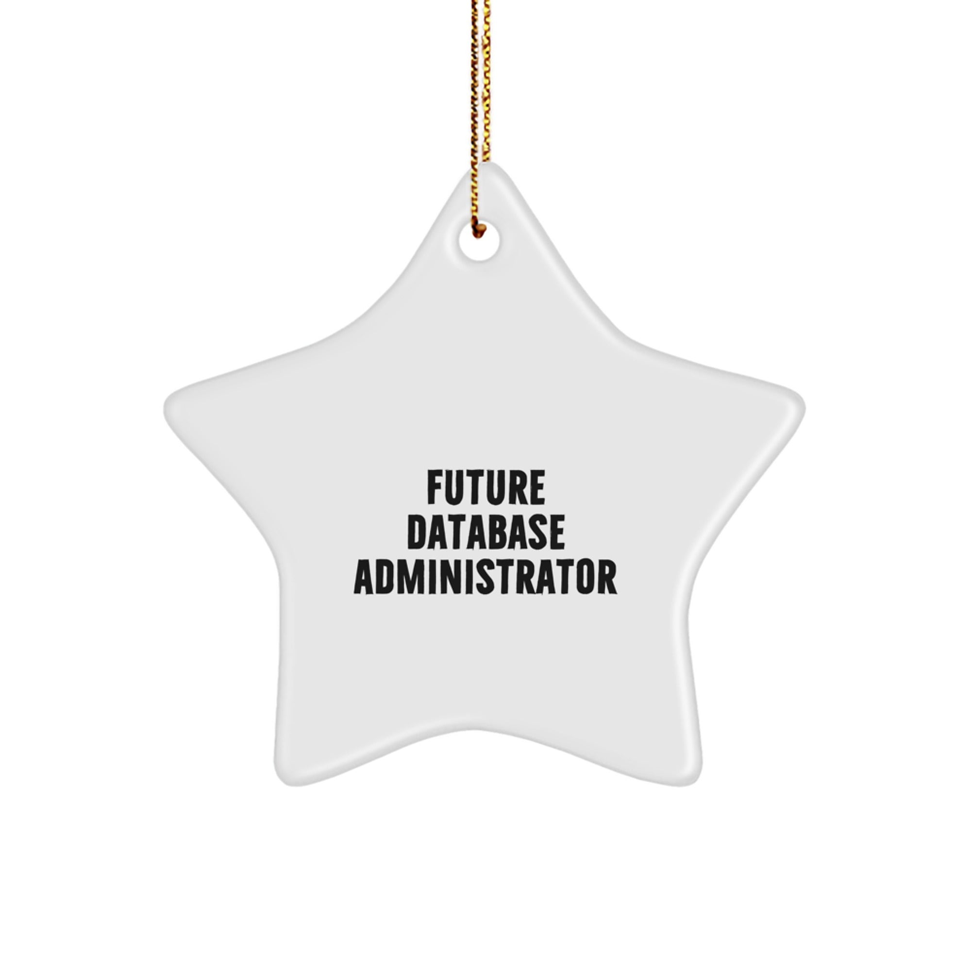 Funny Future Database Administrator Christmas Star Ornament Gifts from Men for Family Friends Coworkers - Image 1