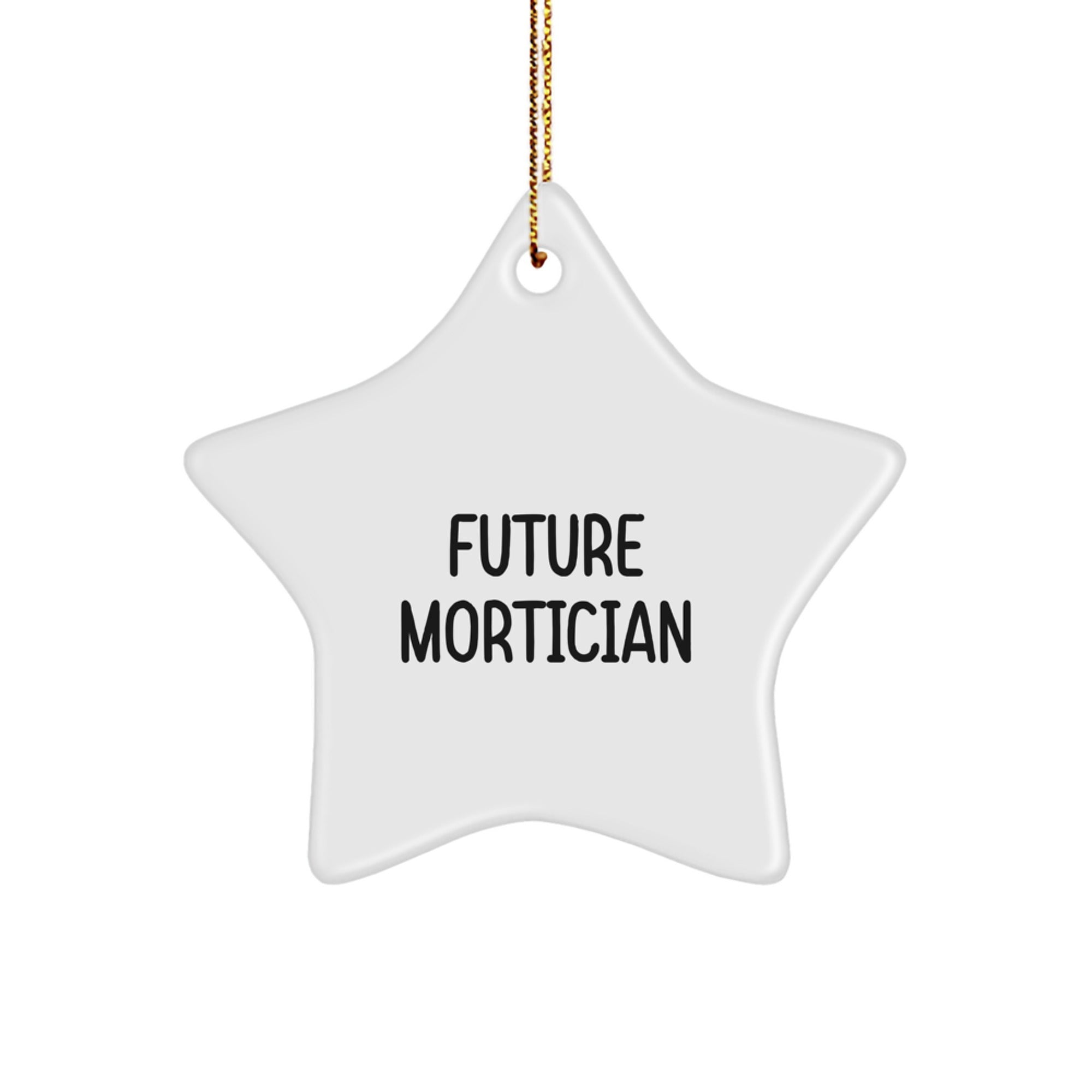 Funny Mortician Gifts for Women - Mortician Star Ornament Inspired by 'Future Mortician' Quote - Christmas Unique Gifts from Friends to Family - Image 1