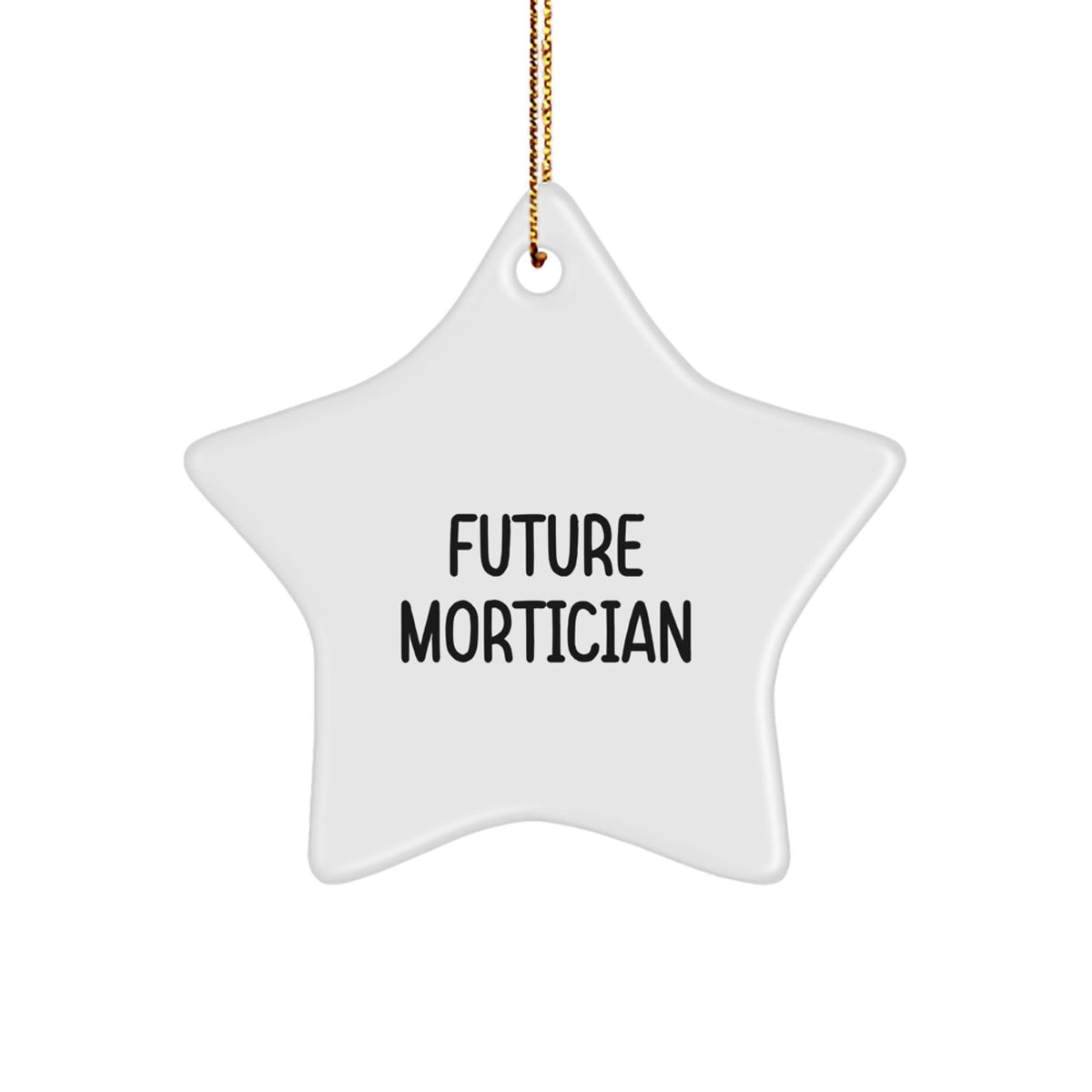Funny Mortician Gifts for Women - Mortician Star Ornament Inspired by 'Future Mortician' Quote - Christmas Unique Gifts from Friends to Family - Image 1