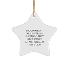 Shetland Sheepdog Lover's Funny Christmas Star Ornament Gifts from Friends and Family for Shetland Sheepdog Owners - Proud Parent Humor - Image 1