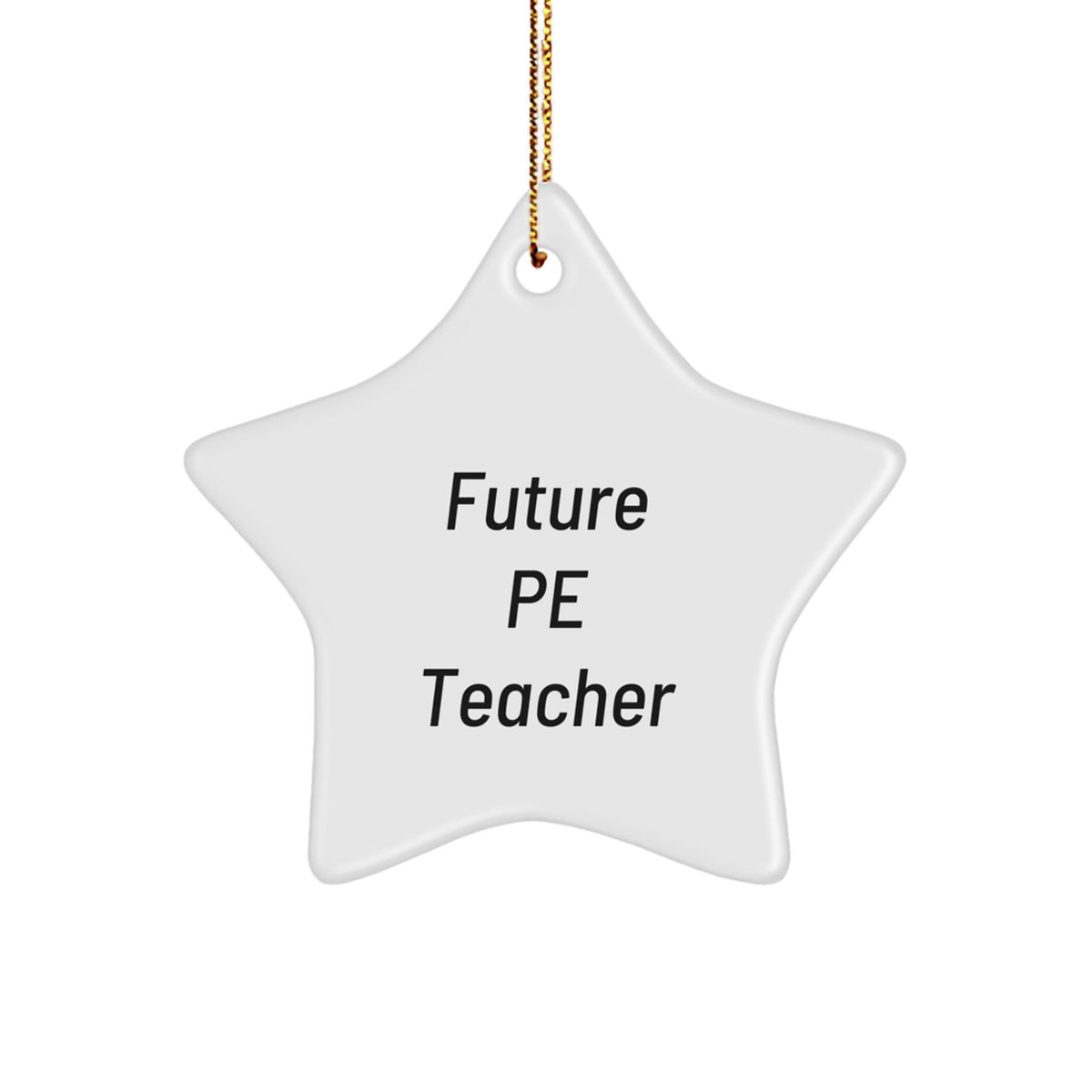 Funny Future PE Teacher's Star Ornament for Christmas Unique Gifts from Friends - Inspirational Quote for Men, Women, Family - Durable MDF with High-Gloss Finish - Image 1