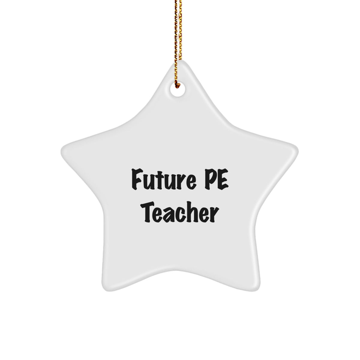 Funny Inspirational PE Teacher Gifts for Christmas Unique Star Ornament, Gifts from Family and Friends for Future PE Teacher, 'Future PE Teacher' Quote - Image 1
