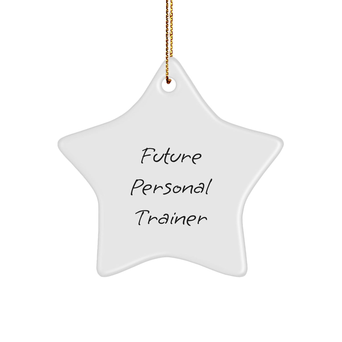 Funny Quote Star Ornament Gifts from Family for Future Personal Trainer - Christmas Unique Presents - Image 1