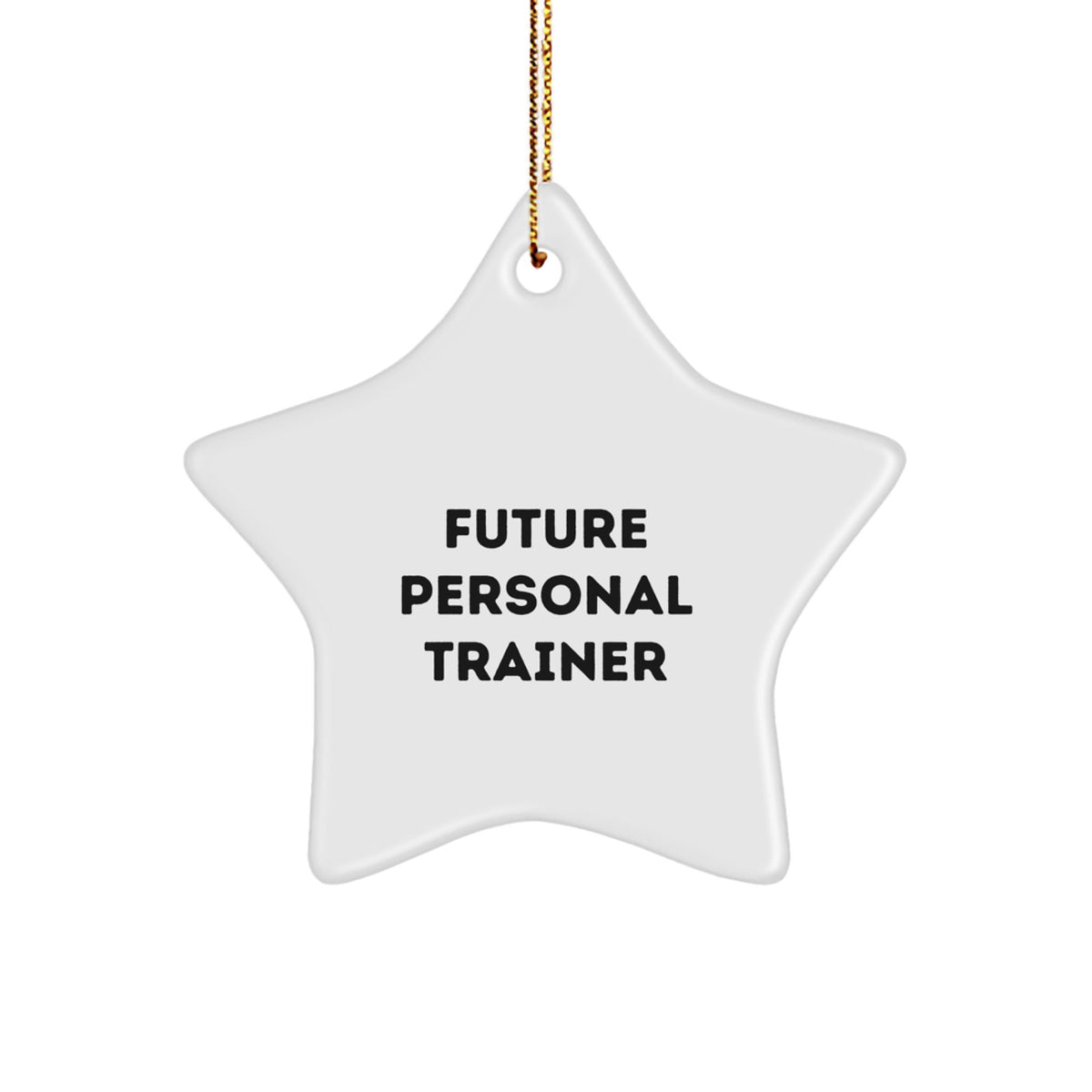 Future Personal Trainer Inspirational Quote Funny Star Ornament Gifts from Family for Christmas Unique Personal Trainer Decorations - Image 1