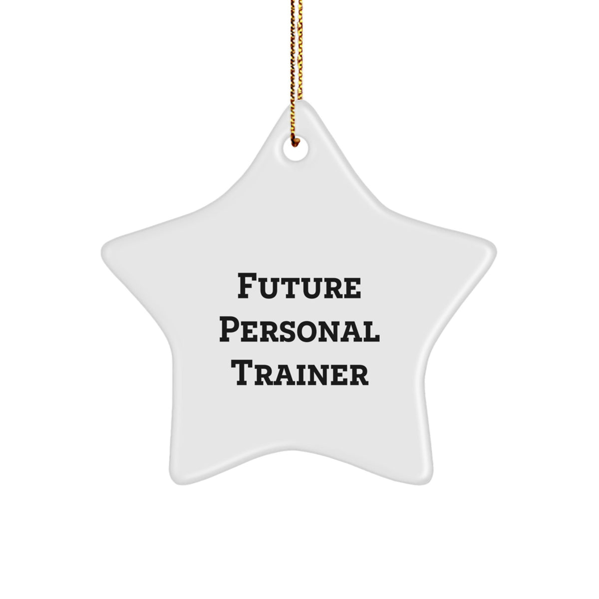Personal Trainer Funny Quote Star Ornament - Gifts from Friends for Christmas Unique Presents, Funny Motivational Gym Decor Star, Perfect Personal Trainer Gifts for Men - Image 1