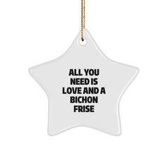 Bichon Frise Dog Gifts from Family - Star Ornament with Inspirational Quote - Christmas Unique Gifts - Image 1