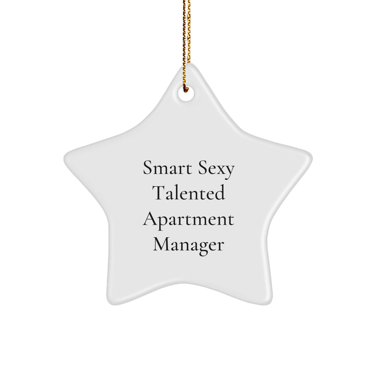 Funny 'Smart Sexy Talented' Apartment Manager Star Ornament Gifts from Men to Friends, Coworkers, Family this Christmas - Image 1